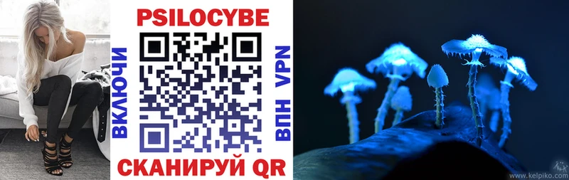 Псилоцибиновые грибы Cubensis даркнет как зайти Чаплыгин